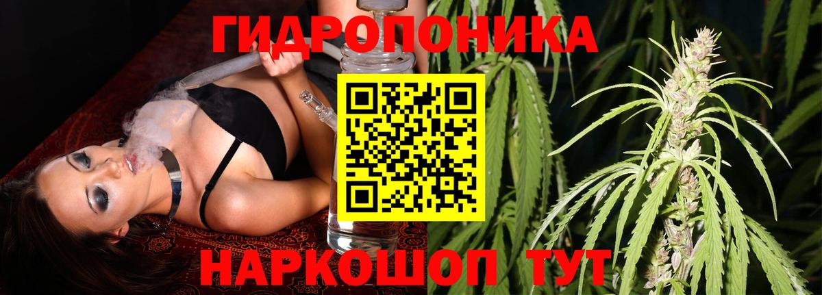 Бошки марихуана план Ачинск